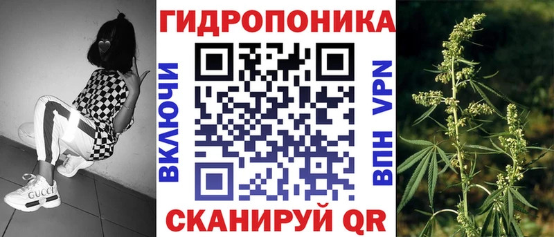 Бошки Шишки планчик  закладка  Спасск-Рязанский 